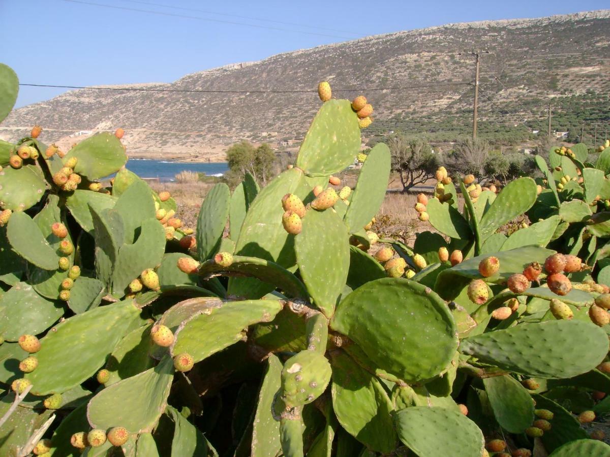 Papadiokampos Maissonete Villa *